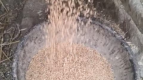 Wheat greeting extracted by machine