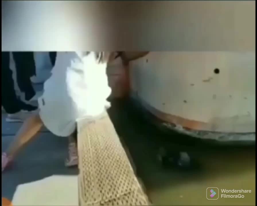 Seal Pranks Girl