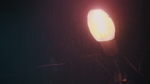Blxck $pring - Rainy Night