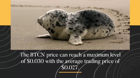 BitcoiNote Price Prediction 2023, 2025, 2030 BTCN Cryptocurrency Price Prediction