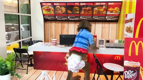 Monkey Baby Bon Bon oes to the toilet and plays with Ducklings in the swimming pool