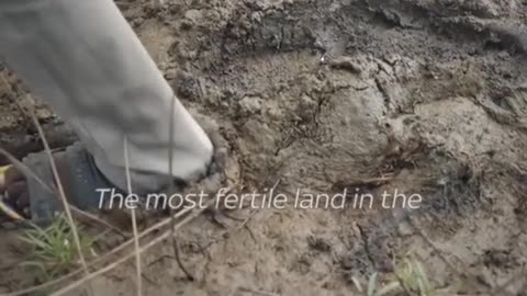 Sky’s Yousra Elbagir witnesses the aftermath of Nigeria’s wor