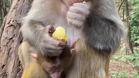 Nice video