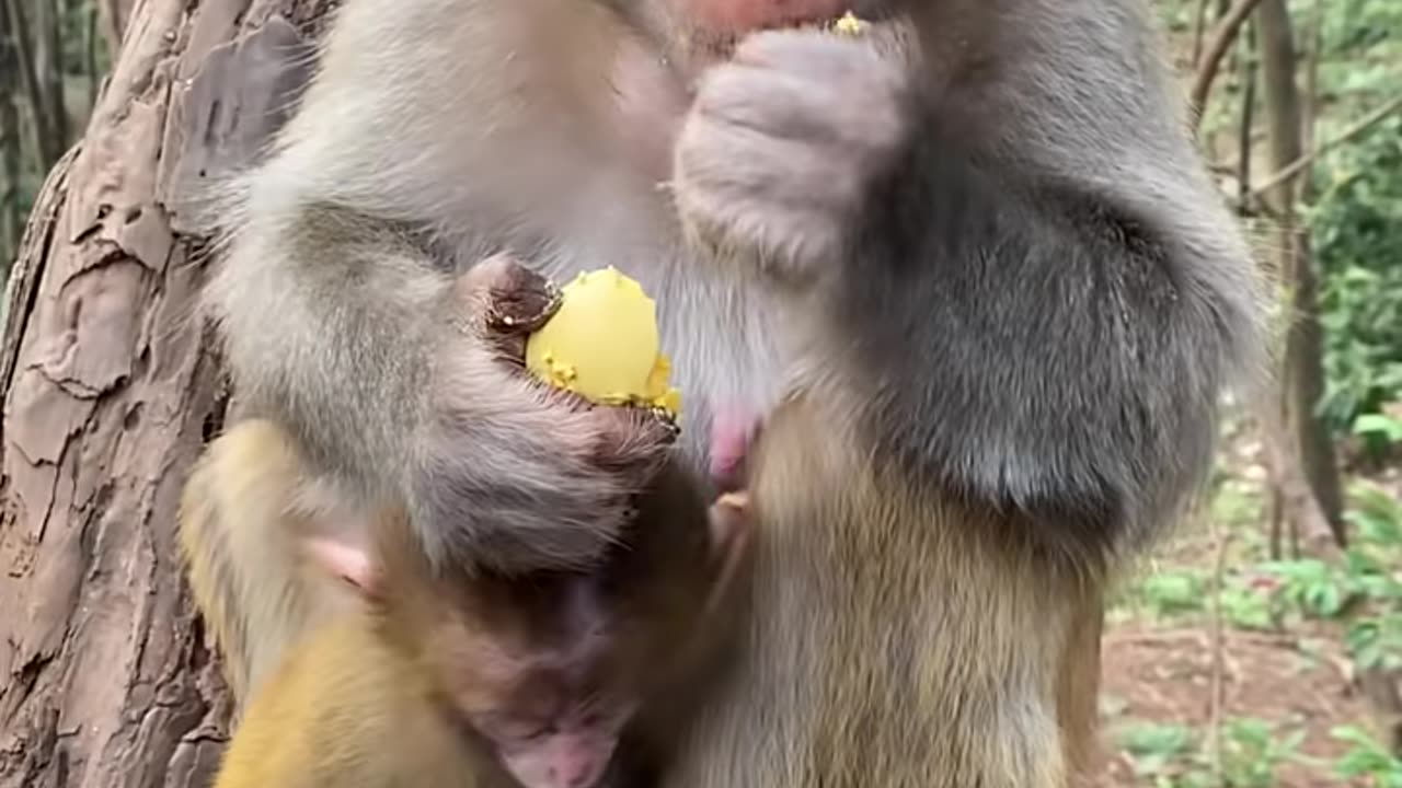Nice video