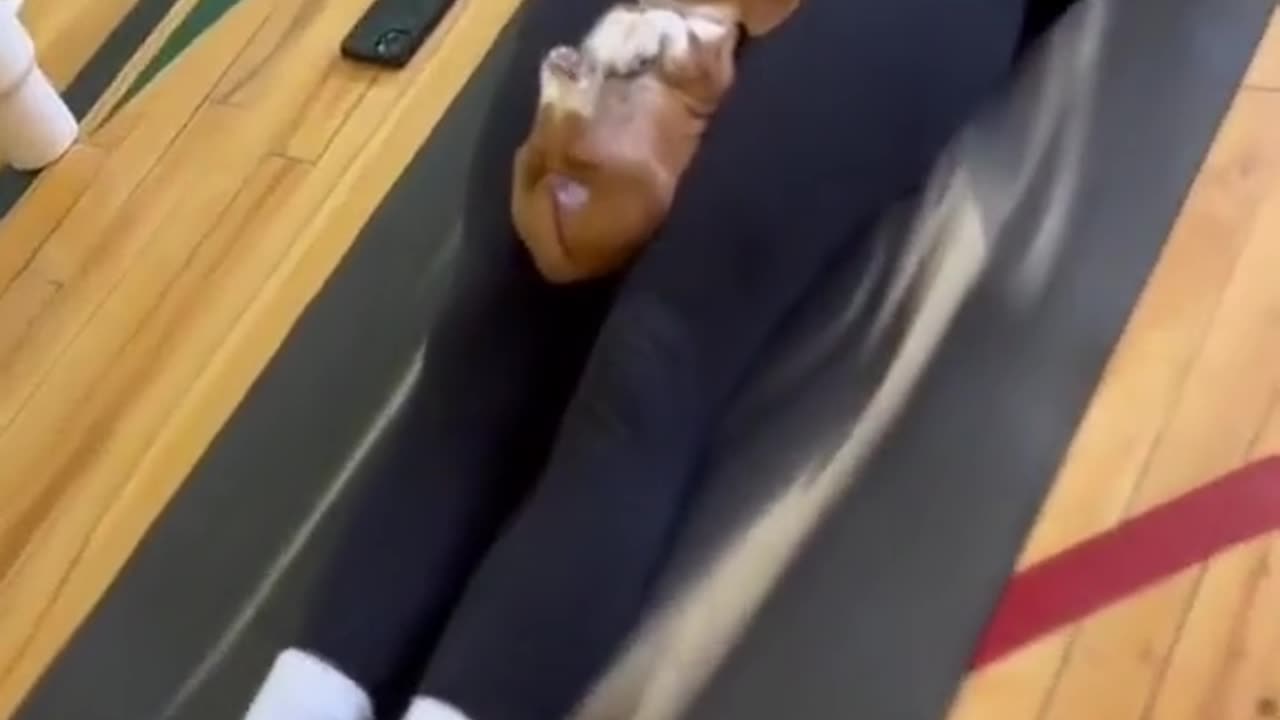 10/10 form no notes 💤 (via @PuppyYoga) #yoga #dogsoftiktok #puppylove #puppytok
