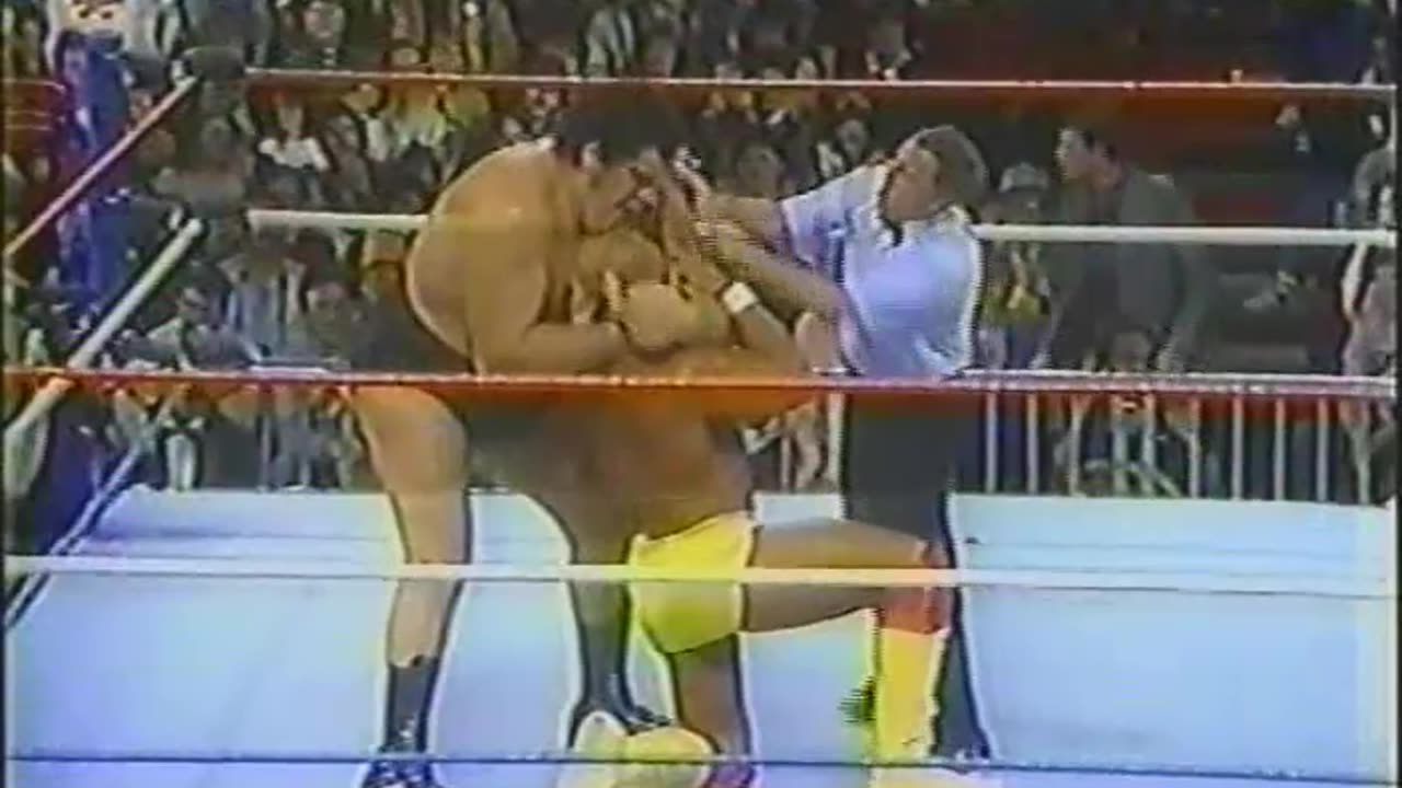 Andre the Giant vs Hulk Hogan with Ted Dibiase ringside