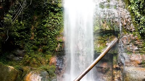 "Whispers of the Waterfall: Nature's Cascading Symphony"