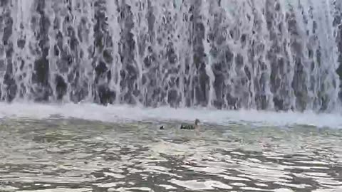 Cascada Encantada