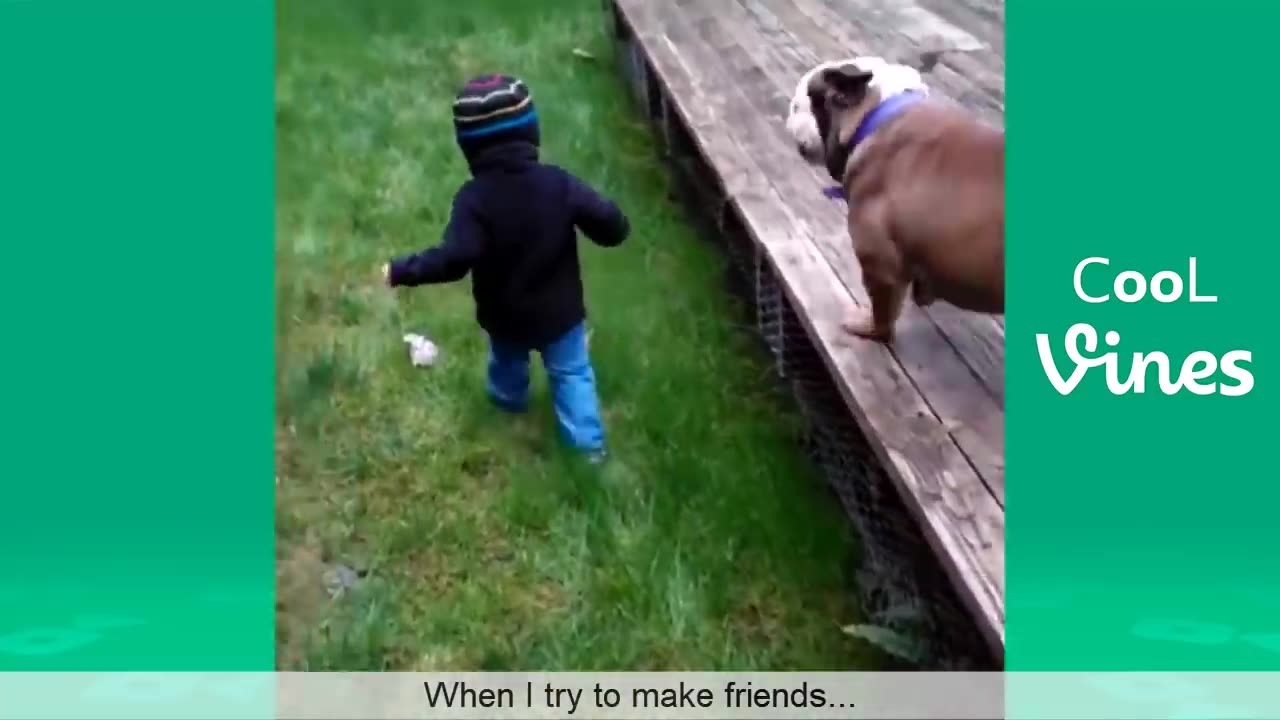 Funniest videos in the world 2017 online