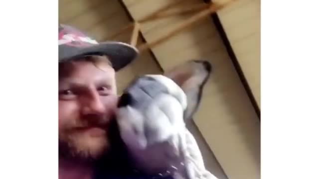 You can feel lonely without a pet