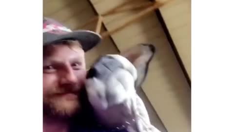 You can feel lonely without a pet