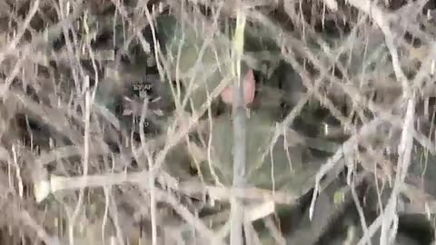 Russian Panics When Grenades Start Falling