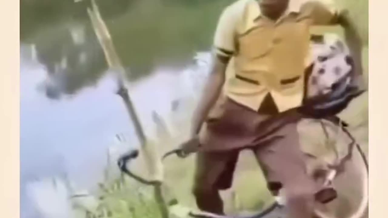 Entertainment video funny video comedy video
