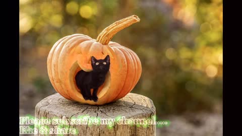 SO CUTE Baby Animals!