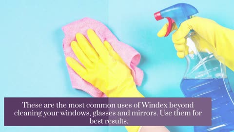Uses Of Windex Beyond Cleaning Your Windows
