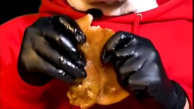 Funny Dog Eating with an outfit.Sooo cute