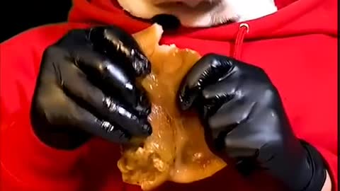 Funny Dog Eating with an outfit.Sooo cute