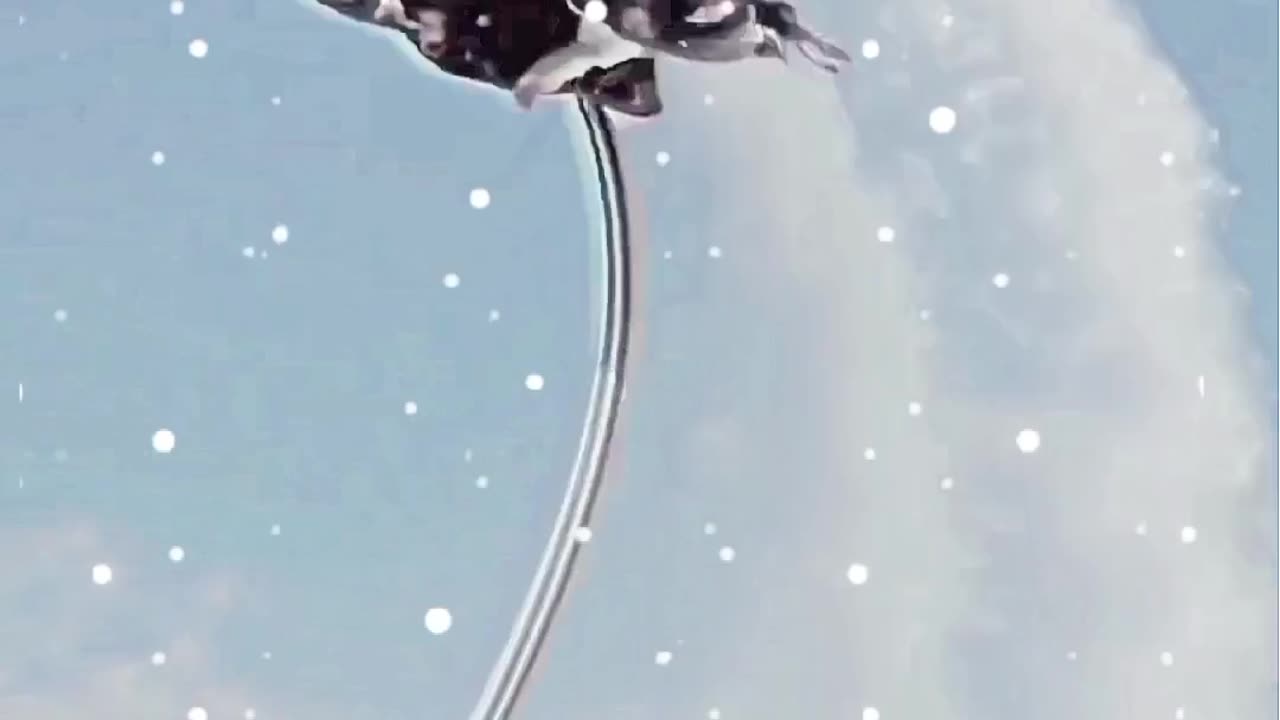 Beautiful girl video