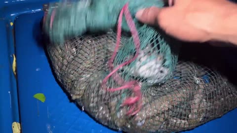 Go fishing in the rainforest at night alone