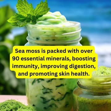"Sea Moss: The Ocean's Superfood 🌊✨"