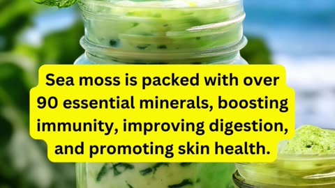 "Sea Moss: The Ocean's Superfood 🌊✨"