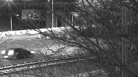 4405LOTS00Lot8-9East_2021-01-05_00h50min52s310ms.mp4