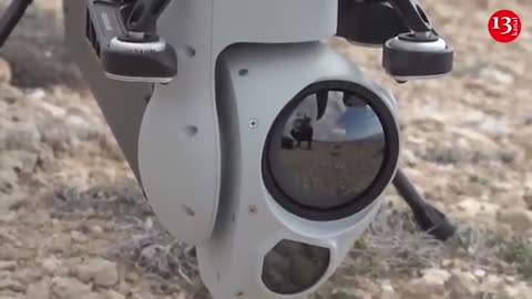 "Phoenix ghosts": Ukraine fights mysterious family of American drones