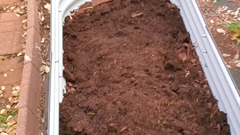 Homestead garden utilizing multiple raised beds *Part #12