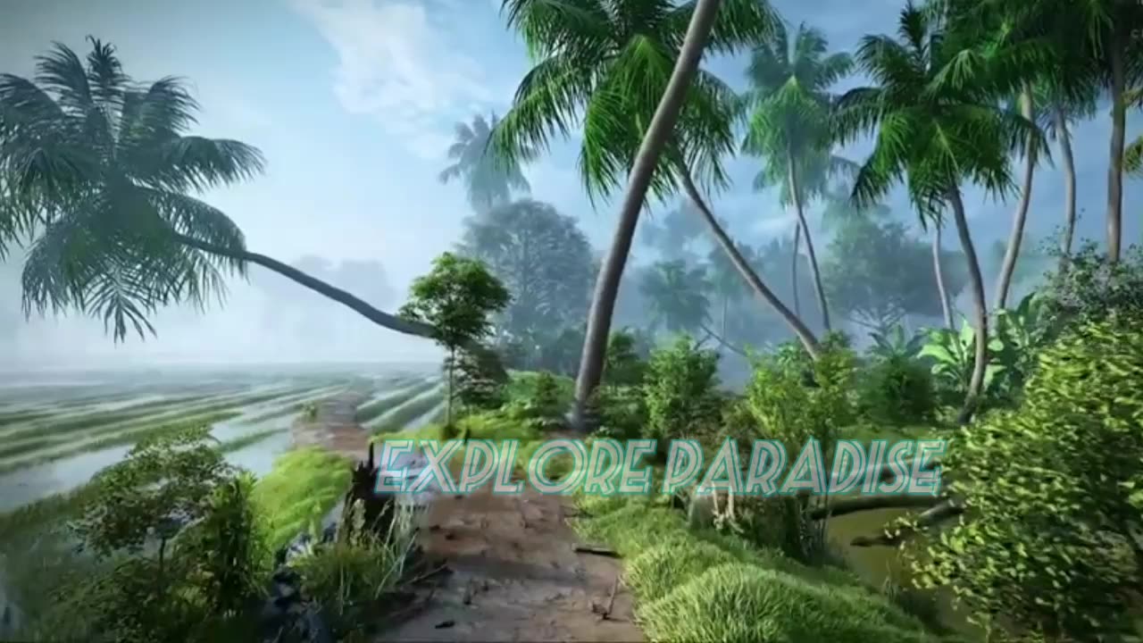 Nature Exploring