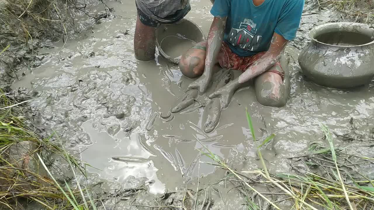 Extraordinary Bill Irrigation Fishing Video Fish Catching