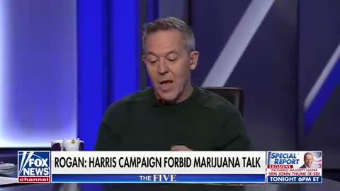 Gutfeld_ This was Kamala's Achilles' heel