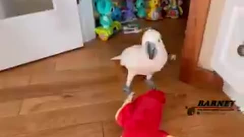 Repost from Oct 2021 - Close to saying I love you Dad! Wees and whoas! Another toothbrush? 😂🦖🥰