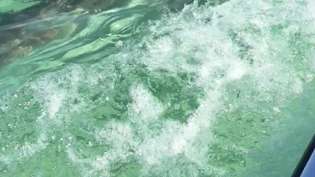 Shark Unlocks True Attack Mode On Jet Ski Couple