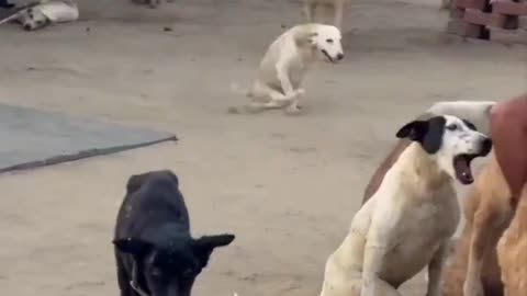 This will melt your heart. ❤️