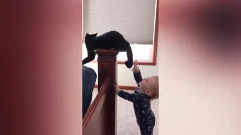 Baby and cat fun and cute #5. baby funny video
