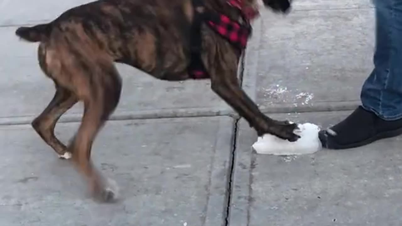 He Was So Excited