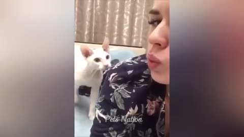 Try Not To Laugh O Funniest Cats and Dogs 2023 Part 1 |Pets Nation