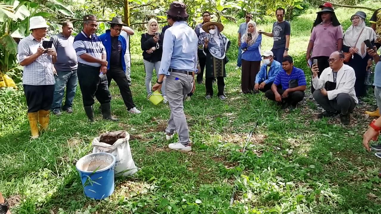 P04 Visit Durian Farm (Lawat Kebun Durian), Sg Ruan, Raub, 5 Jun 2024