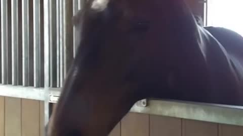 2022-3-27 Yummy look by Supi Boy