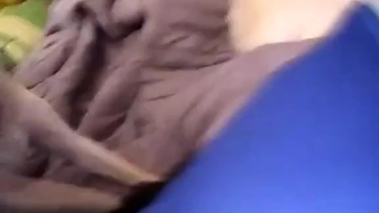 felices por los cuatro