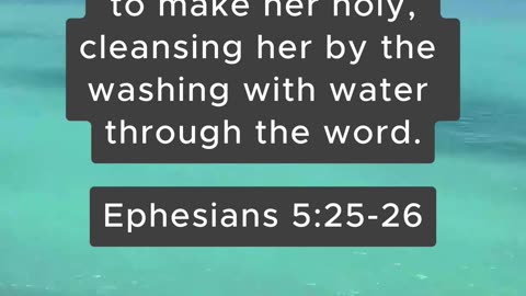 Bible Verse of the Day: August 15, 2024