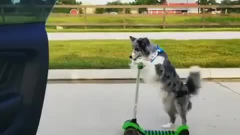 No Buddy can do this