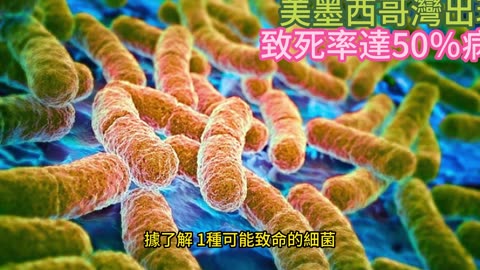 美墨西哥灣出現 致死率達50％病毒