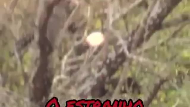 MAN FILMS A STRANGE LIGHT IN THE SKY WATCH THE VIDEO AND SHARE