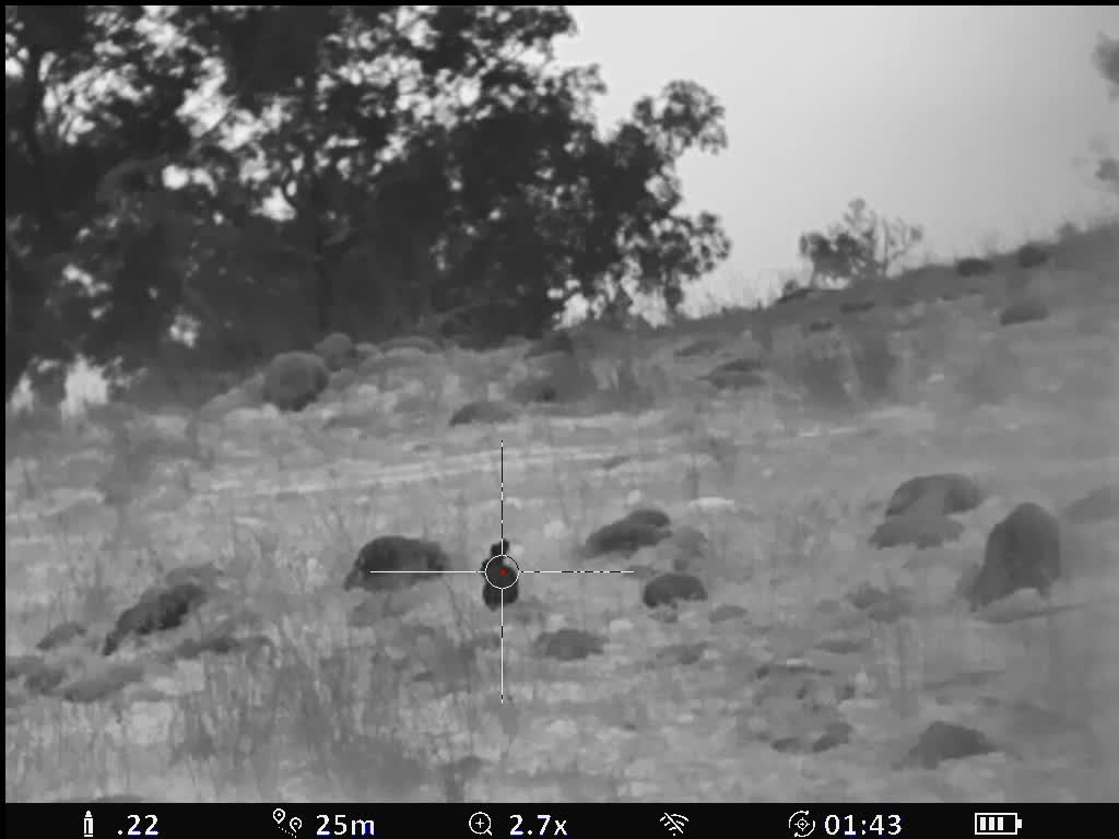 iAiming iA-317 Thermal Scope - Rabbit 004