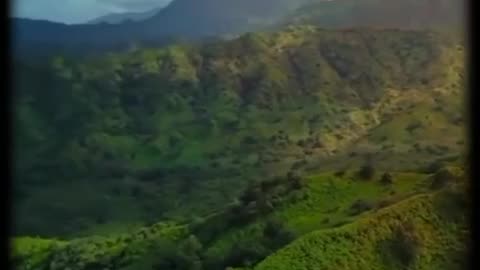 Qari_Edi_Shaban__Beautiful_Voice_Recitation_of_the_Quran__Surah_ar_rahm_2023(720p)