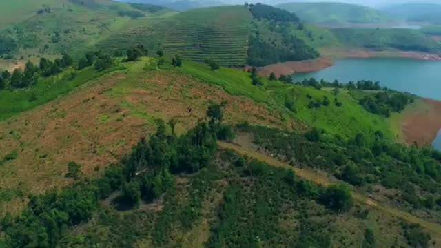 Bird's Eye View of Serene Avalanche Lake in Ooty in India