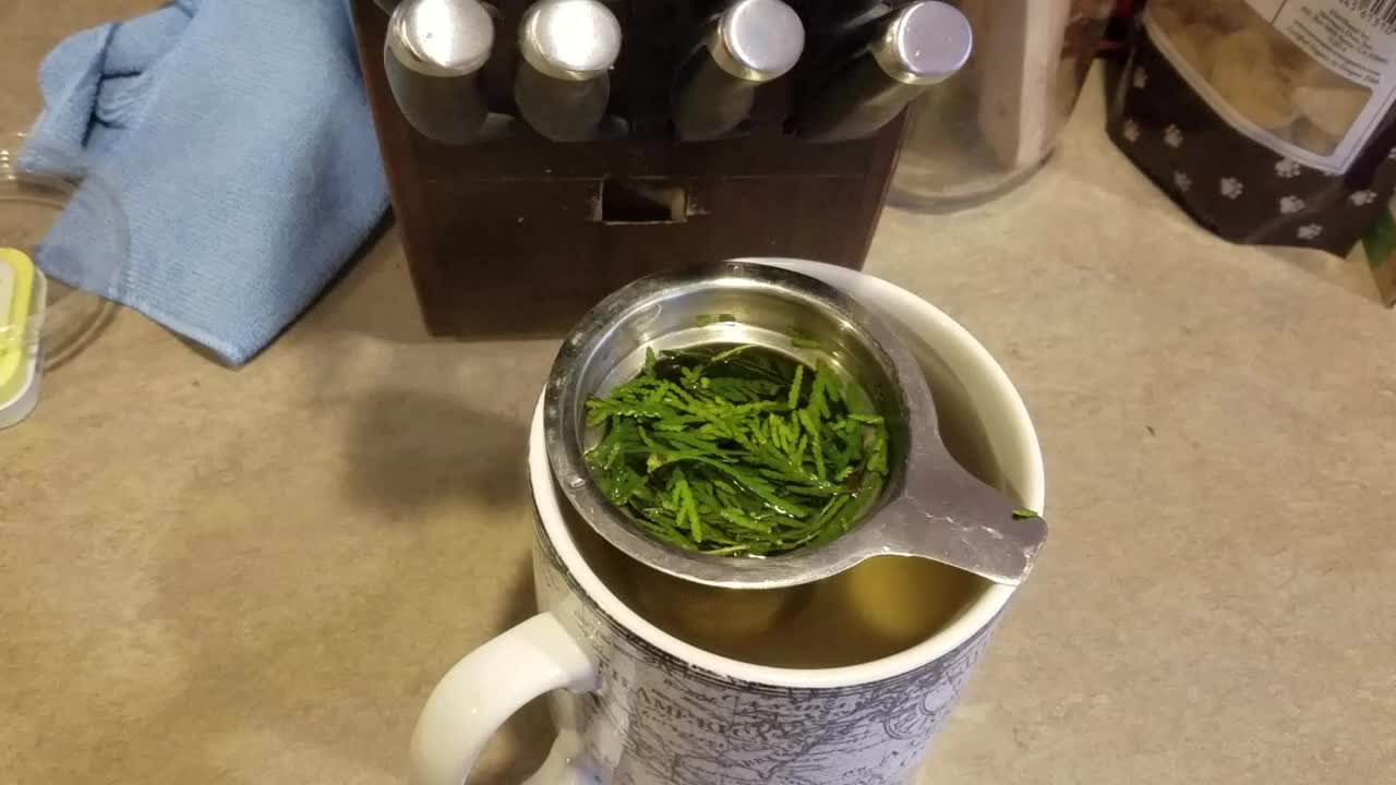 Cedar Tea