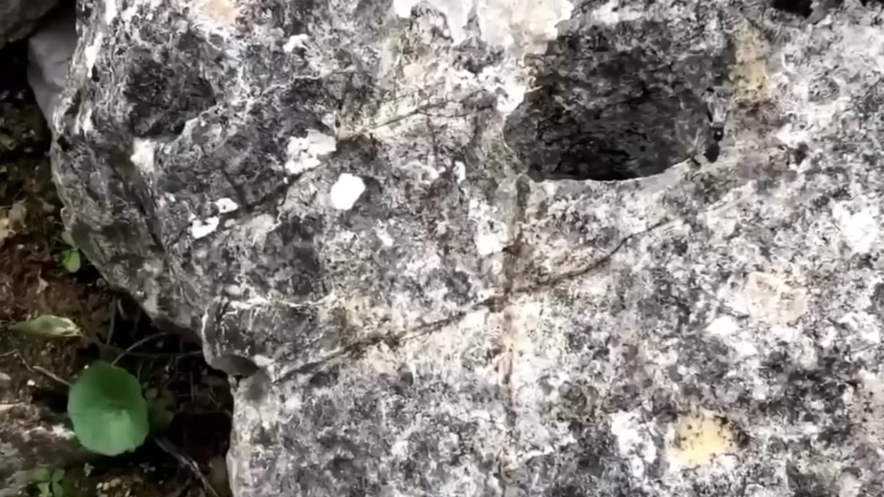 we can't believe what's inside this box [ Great Treasure Hunt ] With A Metal Detector