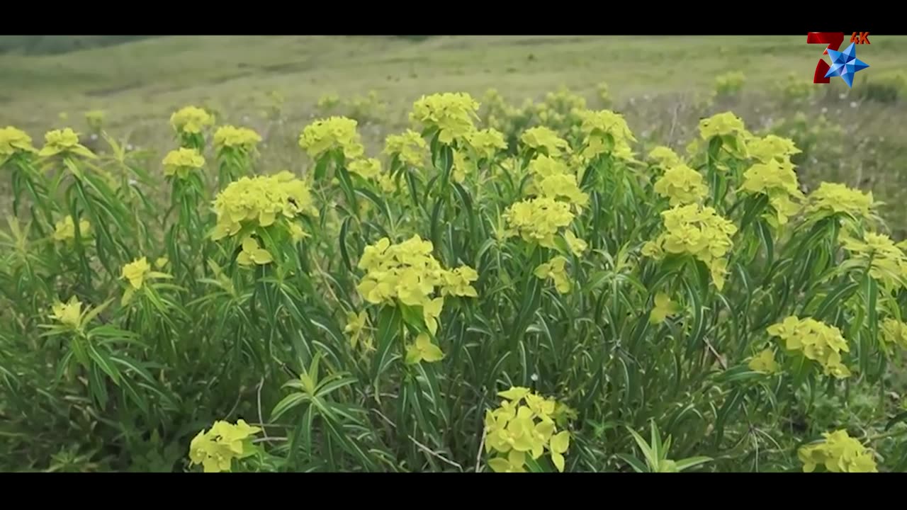 धर्तीको स्वर्ग खप्तडमा अन्तर्राष्ट्रिय आध्यात्मिक सम्मेलन हुने |#sevenstar4ktv